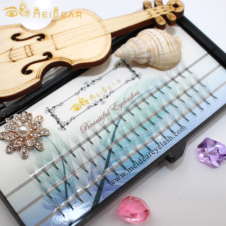 2D 3D 4D 5D 6D 10D 20D russian premade fans eyelash extension clusters with private label